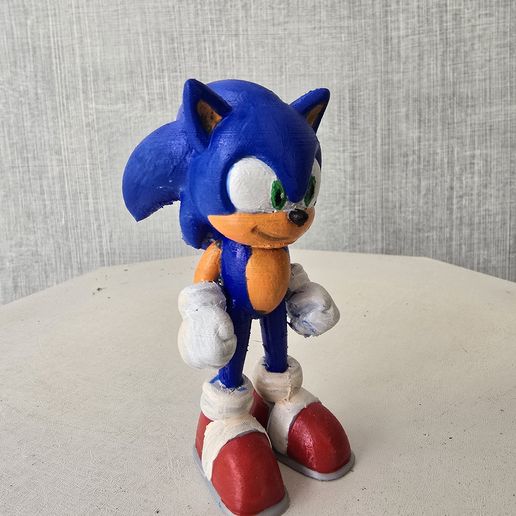 20251112_110143.jpg Sonic