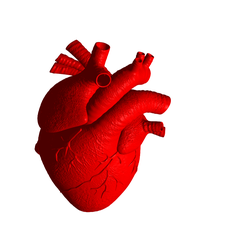 Human-Heart.png Fichier STL Le cœur humain・Design imprimable en 3D à télécharger