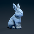 d66341d6-80db-445f-9bd2-0642b7f16d2c.png Rabbit