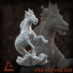 Hippocampus.jpg Hippocampus miniature