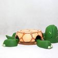 013.jpg Turtle cup holder  (No Supports needed)