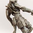 WhatsApp-Image-2026-03-16-at-13.01.23.jpeg Slayer Assassin Collectible (Pre-Supported)