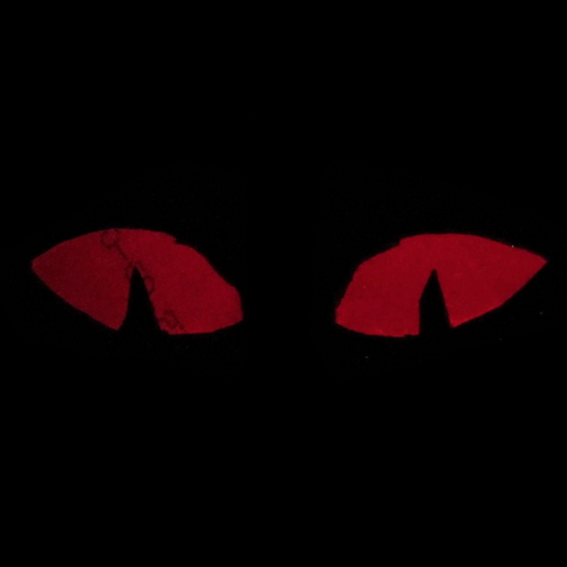 Zheng's Creepy Peepers