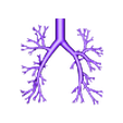 Bronchial tree anatomy-filled.STL Bronchial tree 3d printing model