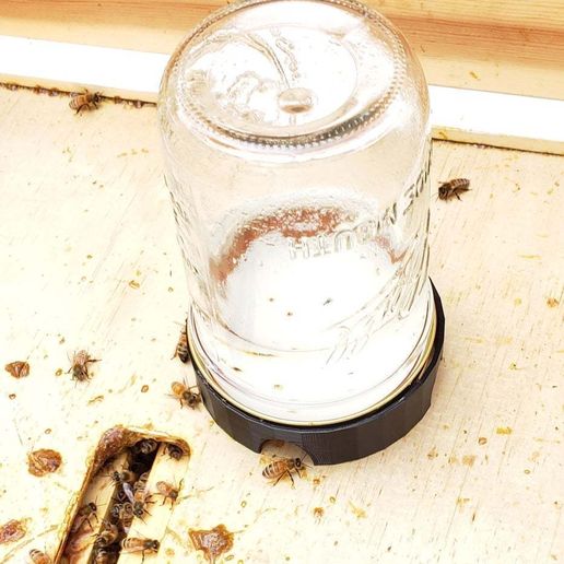 20190514_171640.jpg nourrisseur d'abeilles