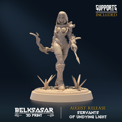 N01.png Fichier STL Undying Light Sentinel D Nude・Objet pour impression 3D à télécharger