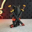 IMG_4852.jpg Ninja Cat