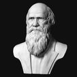 06.jpg Charles Darwin portrait sculpture 3D print model
