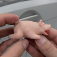 2.png Free STL file A Christmas pig・3D printer model to download