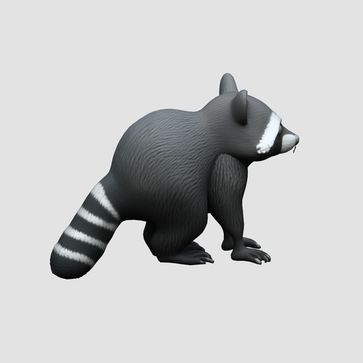 STL file Raccoon Figurine 🦝 ・Template to download and 3D print・Cults