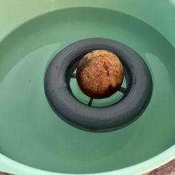 20231230_203458.jpg Floating pot for growing avocado pit