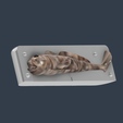 Cottus-gobio-v135.png Goby Fishing Lure Mold  (Huchen Lure Mold)