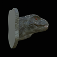 my_project-1-10.png t-rex head trophy on the wall / two faces / dinosaur