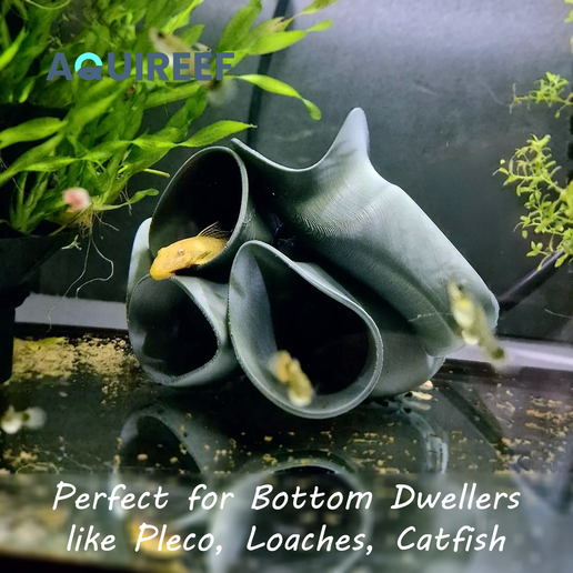 Aquarium Fish Tunnel Cave Hide, Pleco, Cichlid, Corydoras catfish ...