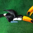 IMG_20240127_153201089_MP.jpg Toucan  Articulated Figure