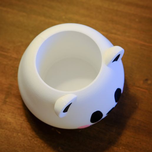 DSCF2907.jpg Niedlicher Panda-Pflanzer