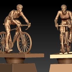 bnbtry67.jpg Male Bicycle Trophy statue destop - 3d Print