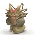 Alien-Facehugger-Pencil-Holder.180.8.jpg Porte-crayon Alien Facehugger - STL, 3MF & OBJ imprimables en 3D
