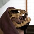 IMG_4288.jpg Cat Skull Mask ARTICULATED