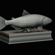 golden-dorado-statue-box-1-34.png fish golden dorado / Salminus brasiliensis with storage space / for 3d printing