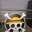IMG20211222204358.jpg Snap-in Multicolor One Piece Logo