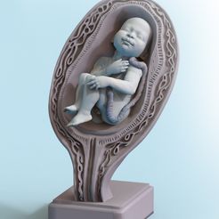 Baby.jpg Archivo STL Bebé en un útero・Objeto imprimible en 3D para descargar