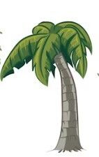 Palmera 3D model