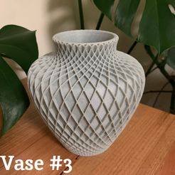 thumbnail.jpg Vase #3