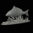 carp-high-quality-klacky-1-16.png big carp 2.0 underwater statue detailed texture for 3d printing