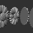 02.jpg Fleurs de marguerite bas relief modèle 3D