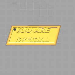pp.PNG YOU ARE SPECIAL keychain