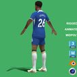 Colwill_6.jpg 3D Rigged Levi Colwill Chelsea 2024