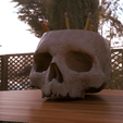 Lapicero.png Skull Pencil Container