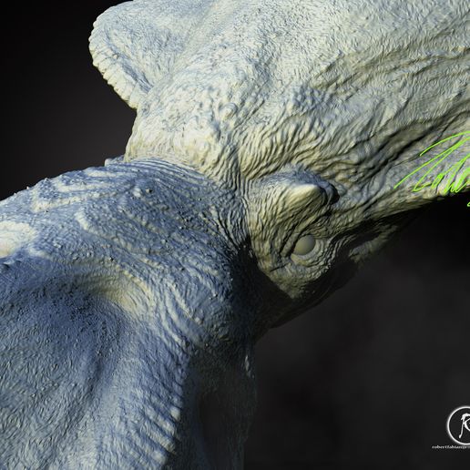 Nanaimoteuthis haggarti