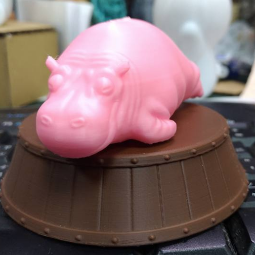 Zoo hippopotamus - 3D model önizlemesi