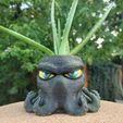 20220827_184905.jpg His and Hers Cthulhu planters