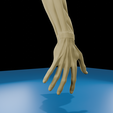 0007.png Anatomia do músculo do braço humano Modelo 3D | Estrutura realista do antebraço e da mão | Modelo de estudo anatómico