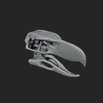 untitled2.png SKULL TERROR BIRD
