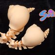 snail05.jpg STL file flexi snail・3D printer model to download