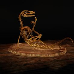 Velo1.jpg Velociraptor Skeleton Meme Diorama Philosoraptor