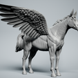 Pegasus-5.png Pegasus