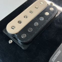 70988101-63c0-421e-aacc-44ccb047e4de.jpg Uncovered Humbucker to Covered Hole