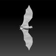 a2.jpg bat - dark animal - scary animal