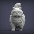 Persian-cat3.jpg Persian cat 3D print model
