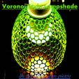 Lampshade_title.jpg VORONOI STYLE LAMPSHADE