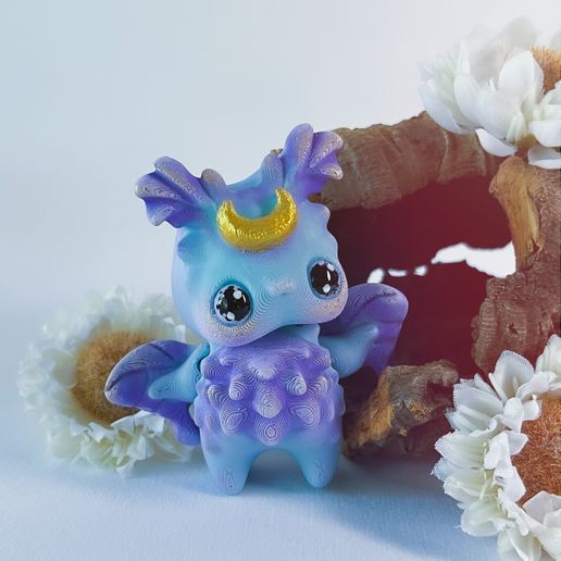 20230930_214255248_iOS.jpg Motte Pixie