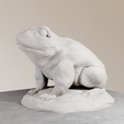 frog-sculpture-1.png Frog sculpture stl 3d print file