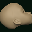 2024-03-02-13_17_48-ZBrush.png BJD Doll head Bouillette pre-support