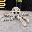 IMG_7970.jpg Articulated Skeleton Octopus
