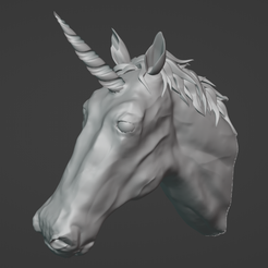Unicorn.png Unicorn Head
